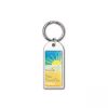 Chrome Arch Keyring
