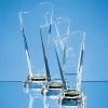 Optical Crystal Golden Torch Award